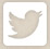 social_twitter